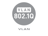 VLAN 802.1Q